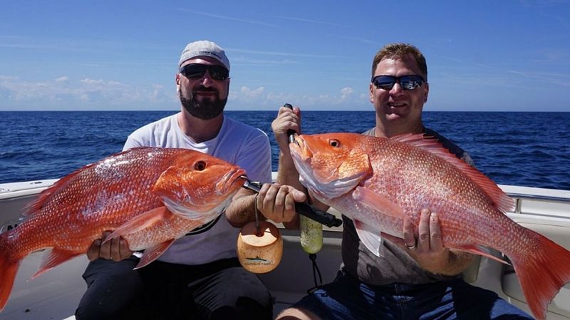Fishing Charters St Augustine | 4 Hour Afternoon Trip