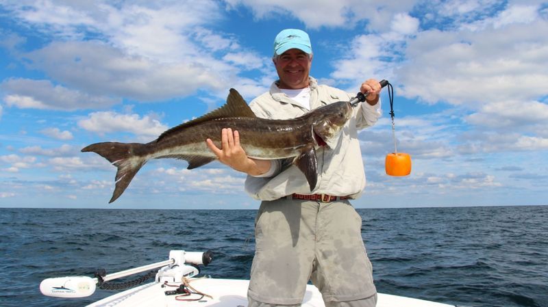 St Augustine Fishing Charters | 4 Hour Charter Trip
